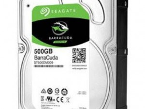 Seagate 7/24 Güvenlik Disk 500GB