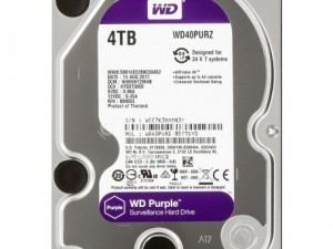 WD 7/24 Güvenlik Disk 4TB 