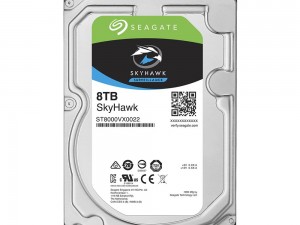 Seagate 7/24 Güvenlik Disk 8TB