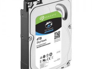 Seagate 7/24 Güvenlik Disk 4TB