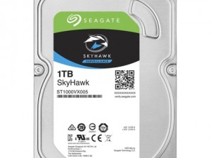 Seagate 7/24 Güvenlik Diski 1 TB