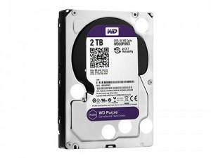 WD 7/24 Güvenlik Disk 2TB