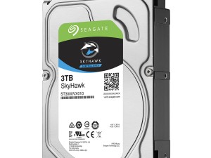 Seagate 7/24 Güvenlik Disk 3TB